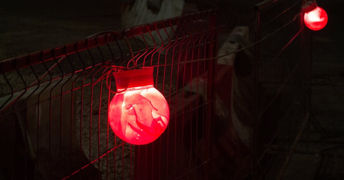 Peel百乐陈皮爆珠（细）：真爱至上令牌购买平台详情下载教程