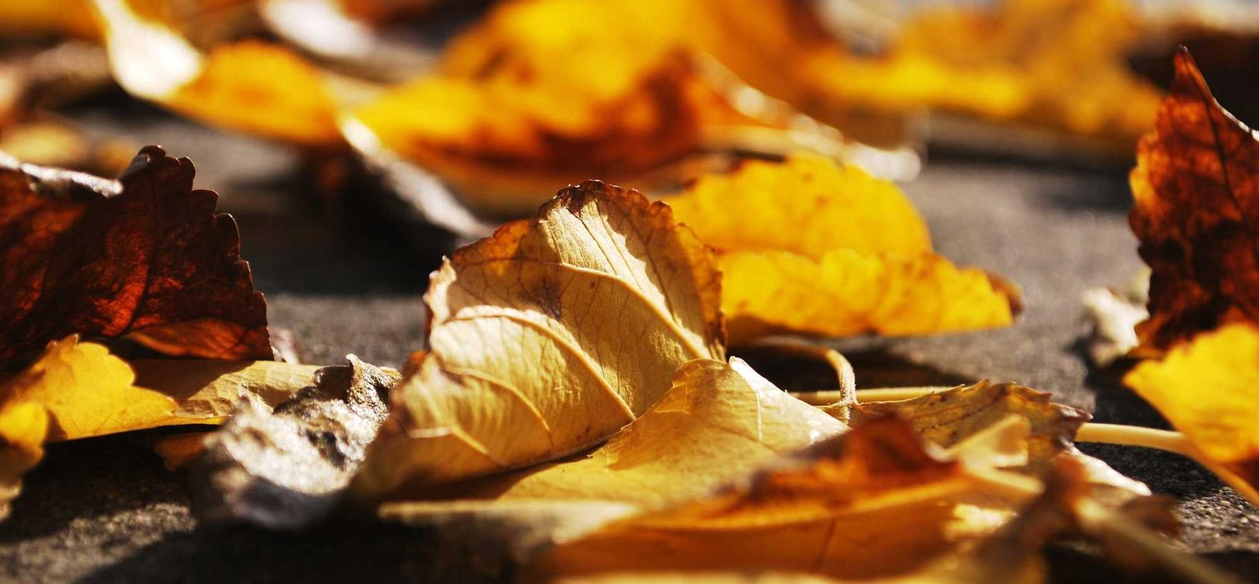 EVE国际服：如何注册拼多多钱包账号