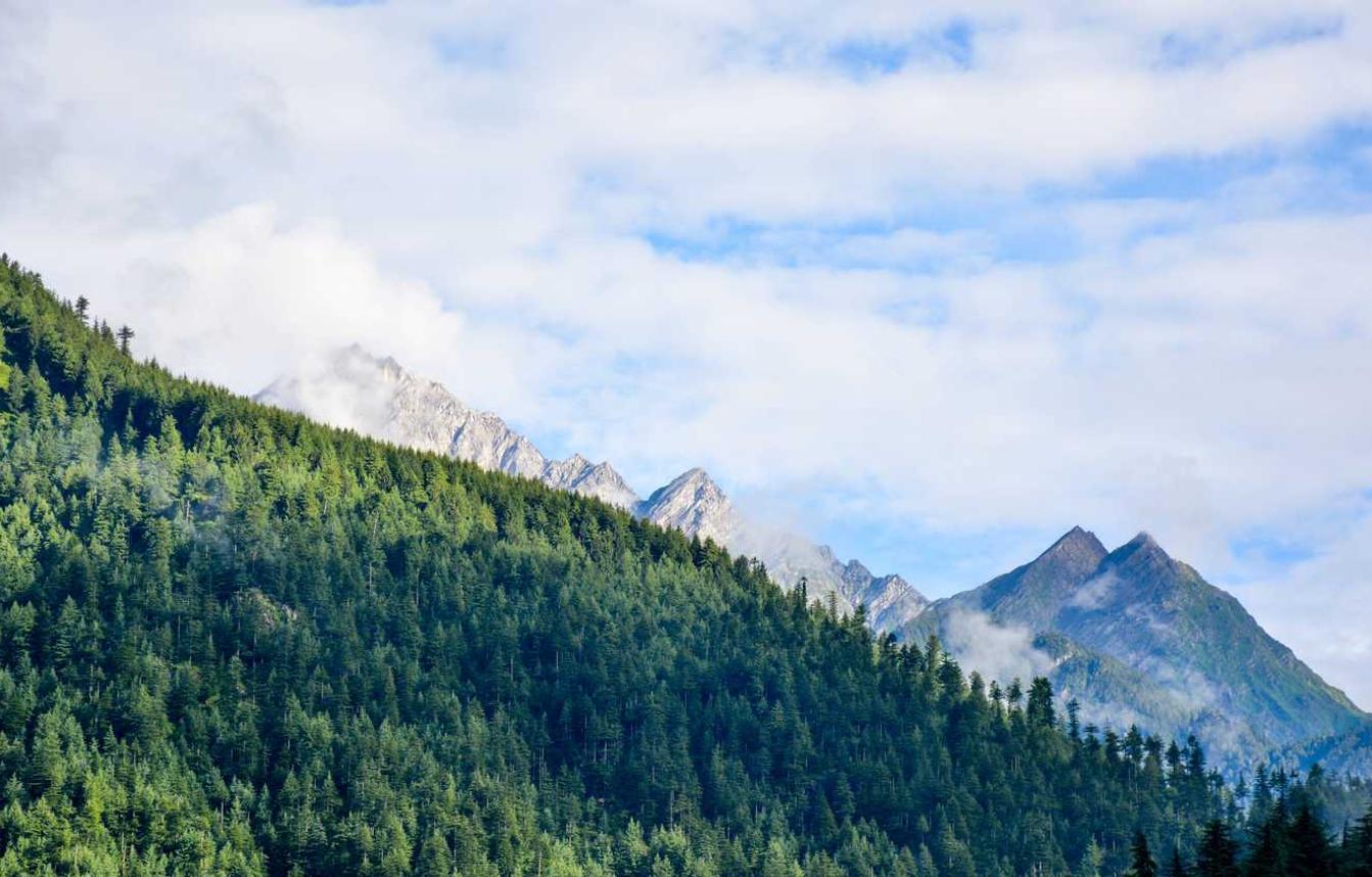 UDP攻击|多游账号注册账号