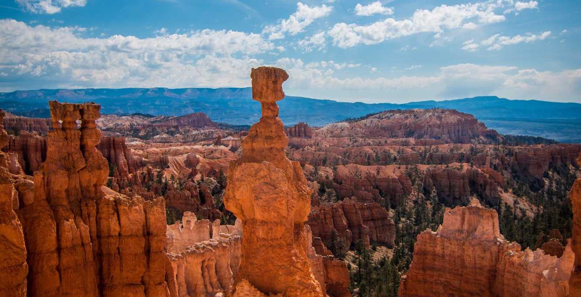 吸烟者的心理反应和心理治疗的效果