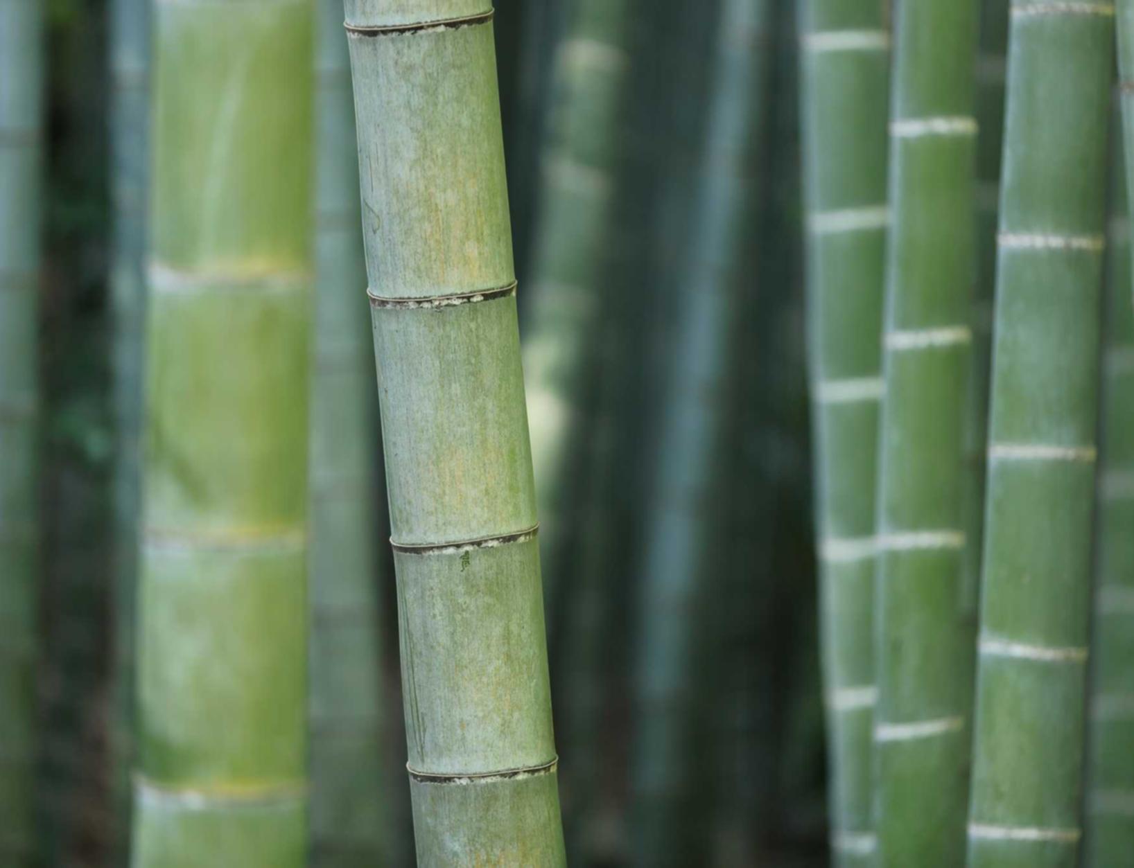 话机通信实名账号:游戏代练代理平台