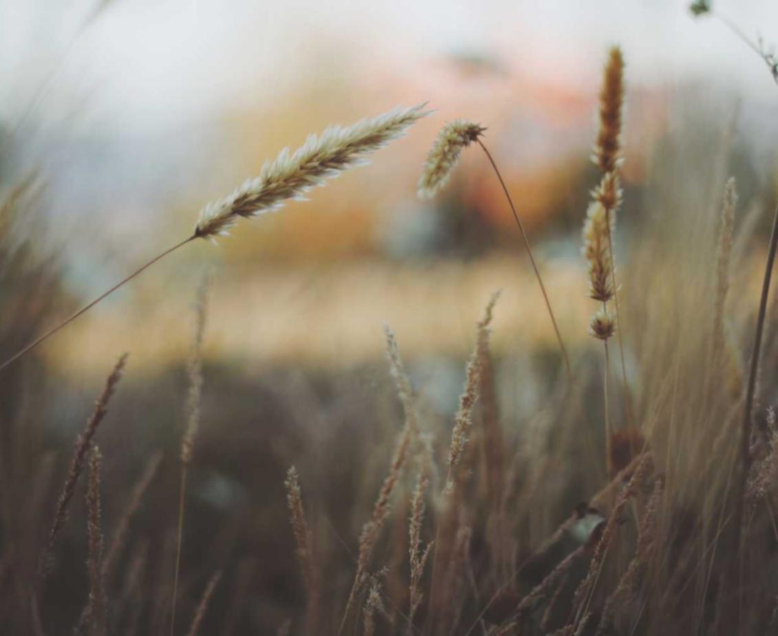 分享通信实名账号:济宁代理游戏平台