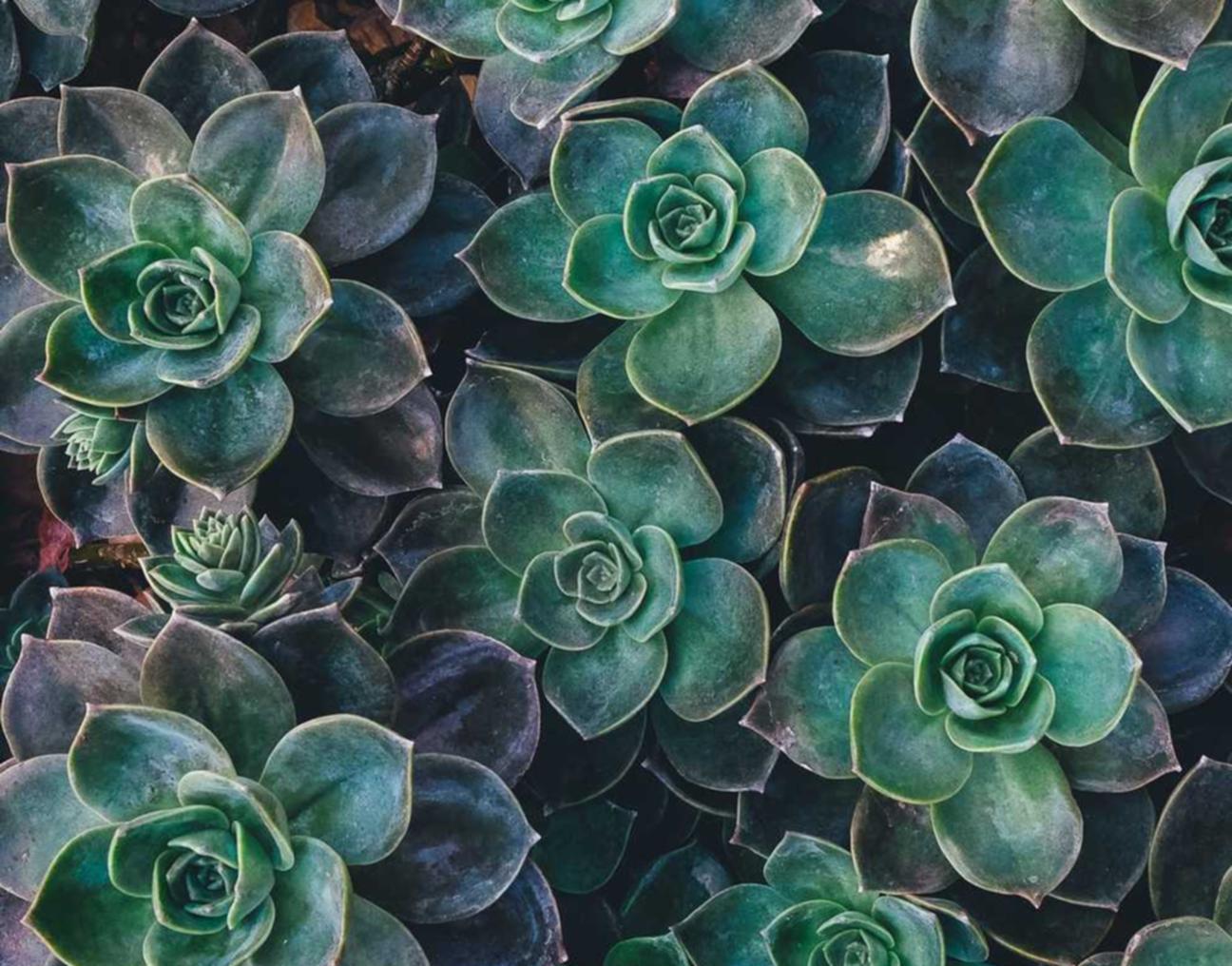 DDOS攻击器|如何利用黑客攻击测试自己的安全防线