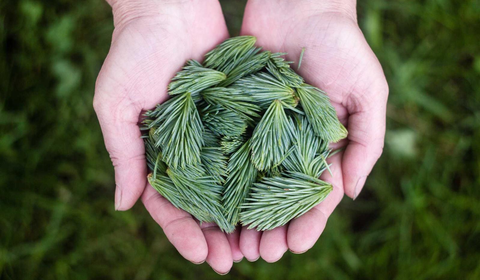 衡天云实名账号：e城e家app详情下载教程安装