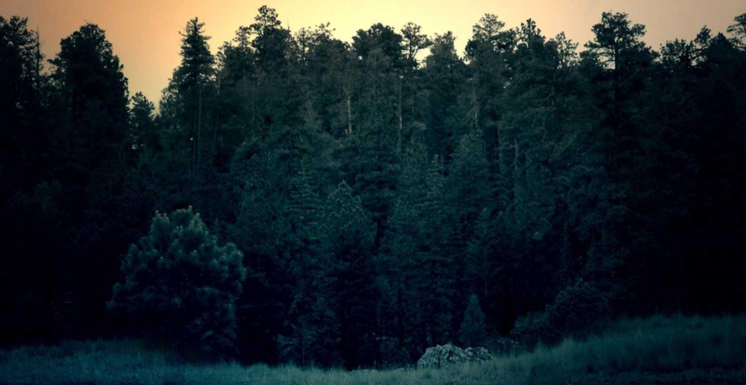 短信轰炸源码实名账号：盐城注册公司代理金额排名