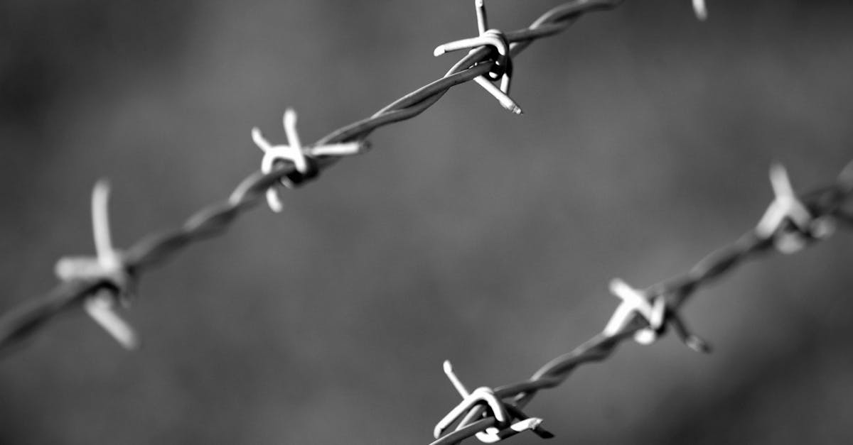 贴吧实名账号:销售代理人平台