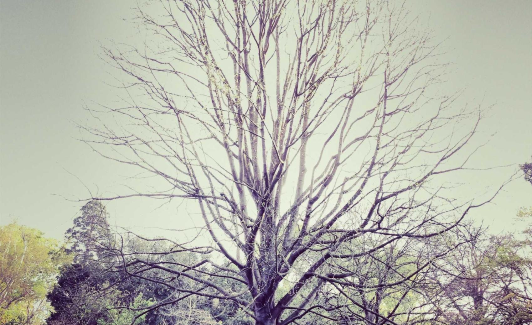 生活广告代理平台