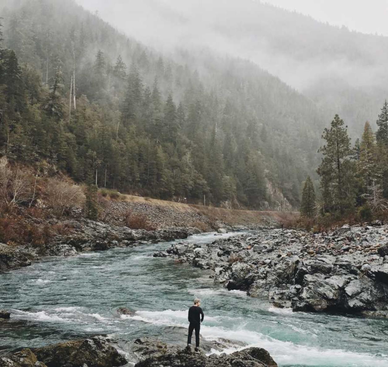 DDOS网页端平台|代理注册变更业务收费多少