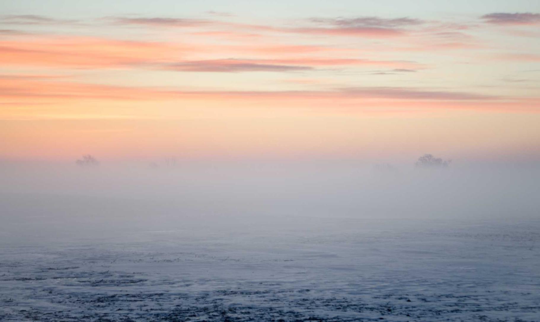 铁盒铁塔猫奶油爆珠:贪玩平台怎么代理