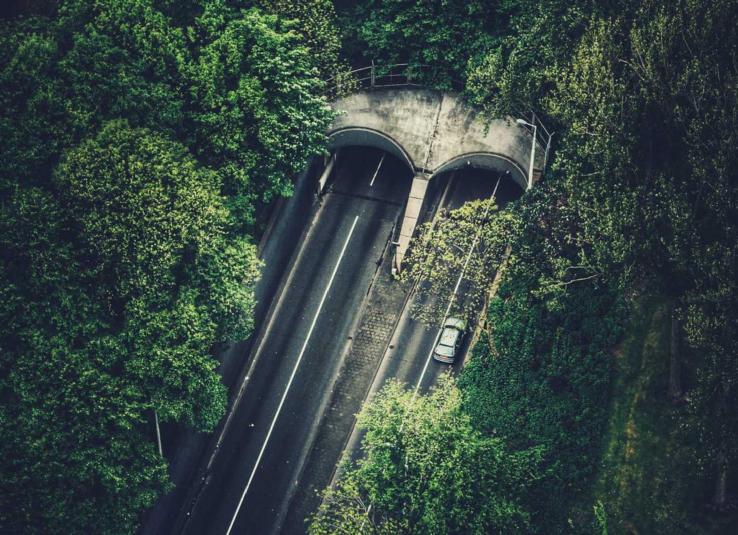 如何在企业网络防范社交工程攻击