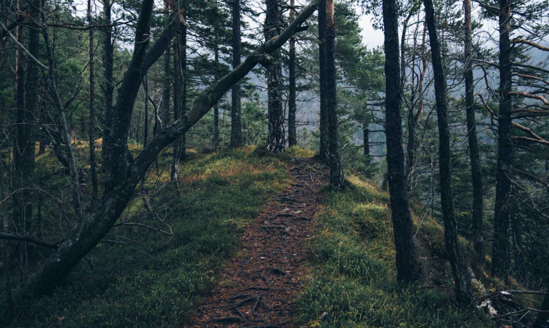 短信头条:快捷发布最新资讯的利器