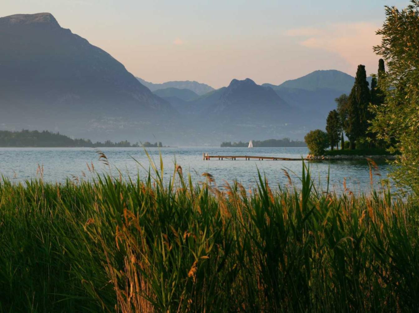 cc网页端|南昌书画电商平台代理