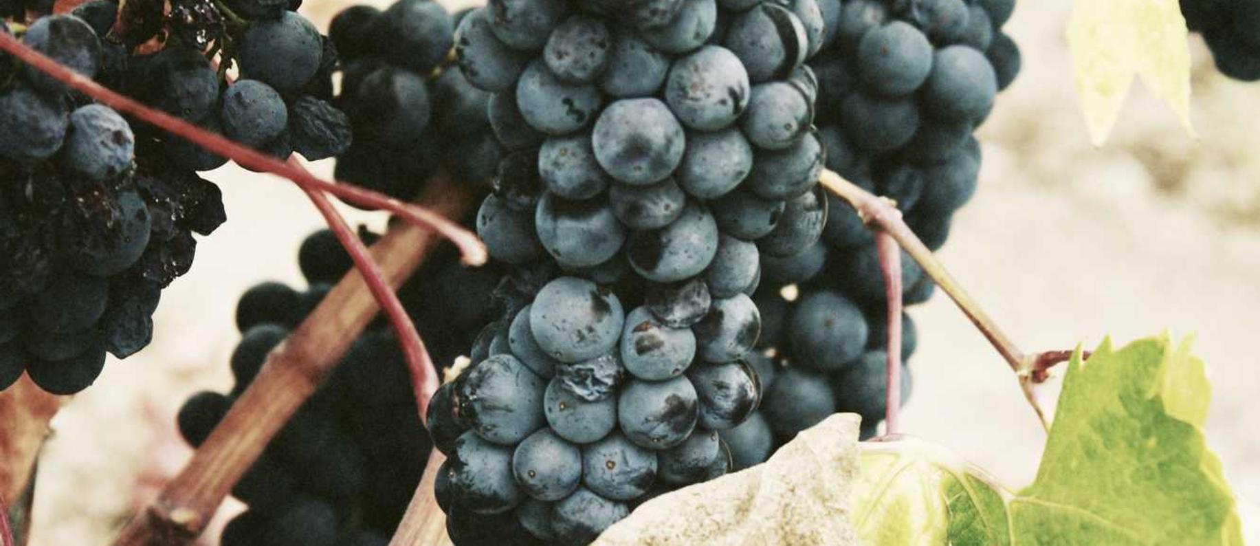 技术支持辅助的危害和贡献是不是进一步折射出现代社会的前景