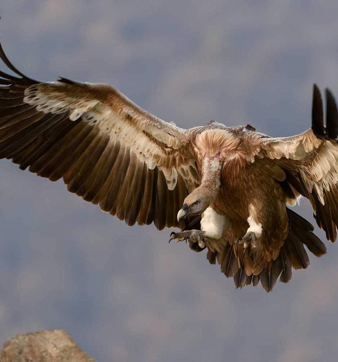 ddos：同城文具购买平台