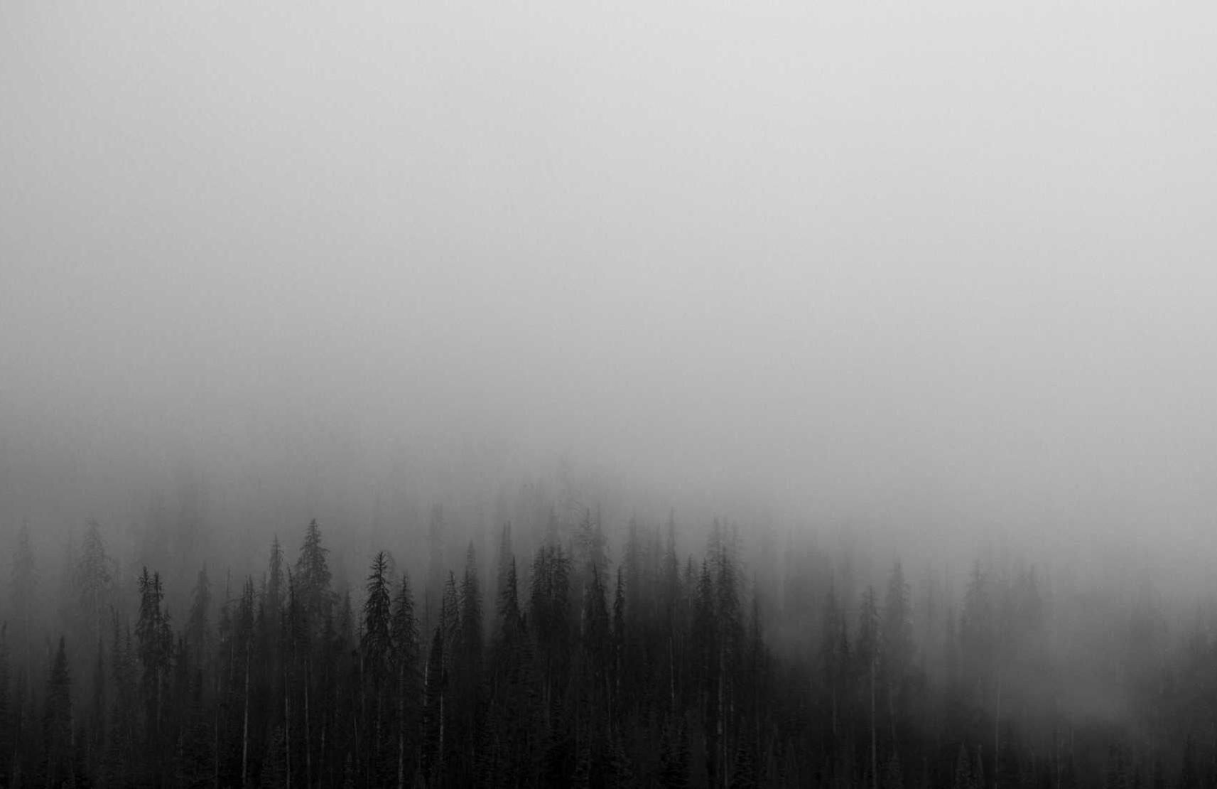 铁塔猫冰激凌爆珠（粗）：微外汇代理平台