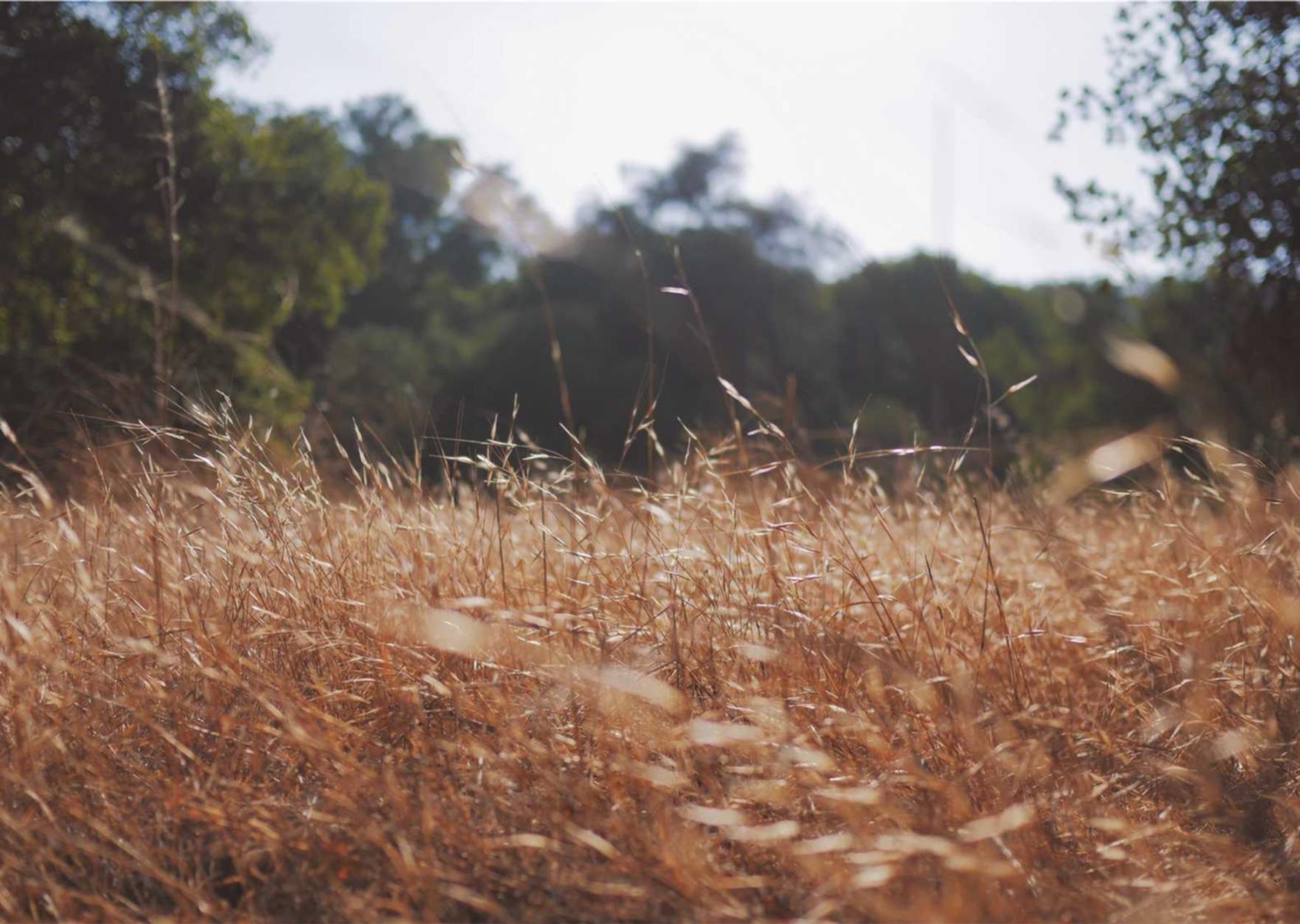 重装战姬:国金所app详情下载教程