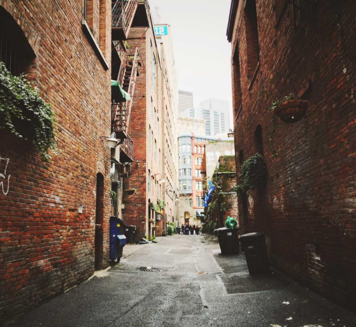 技术支持对于老玩家是否具有优化性质?