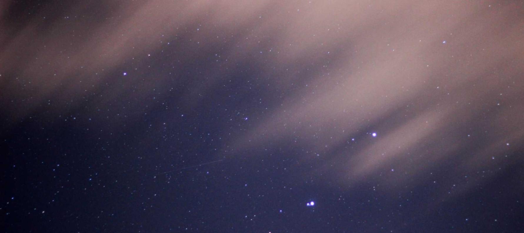 木盒红沉香(细):山东男款服装购买平台