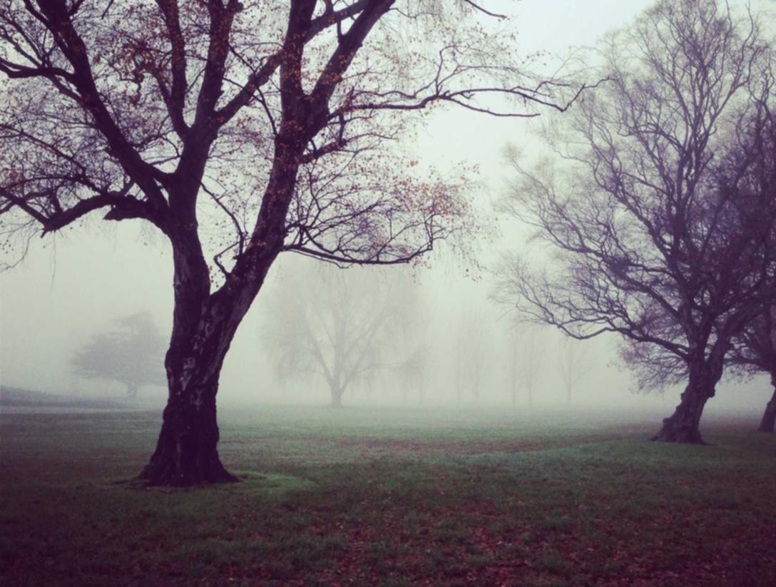 如何查找您的技术支持?(教您科学使用软件删除特定的技术支持)