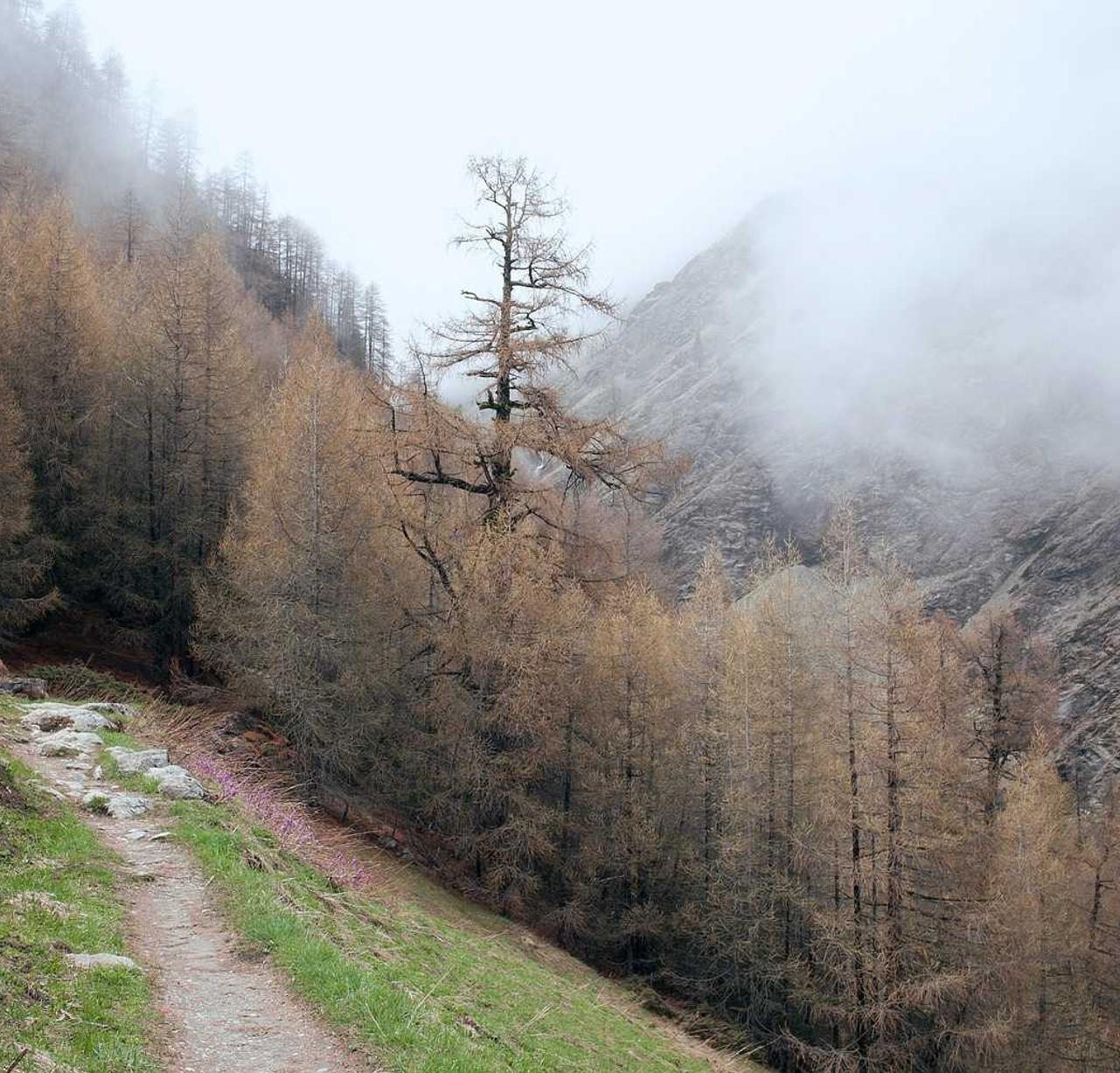 tcp攻击|航空票务代理怎么注册