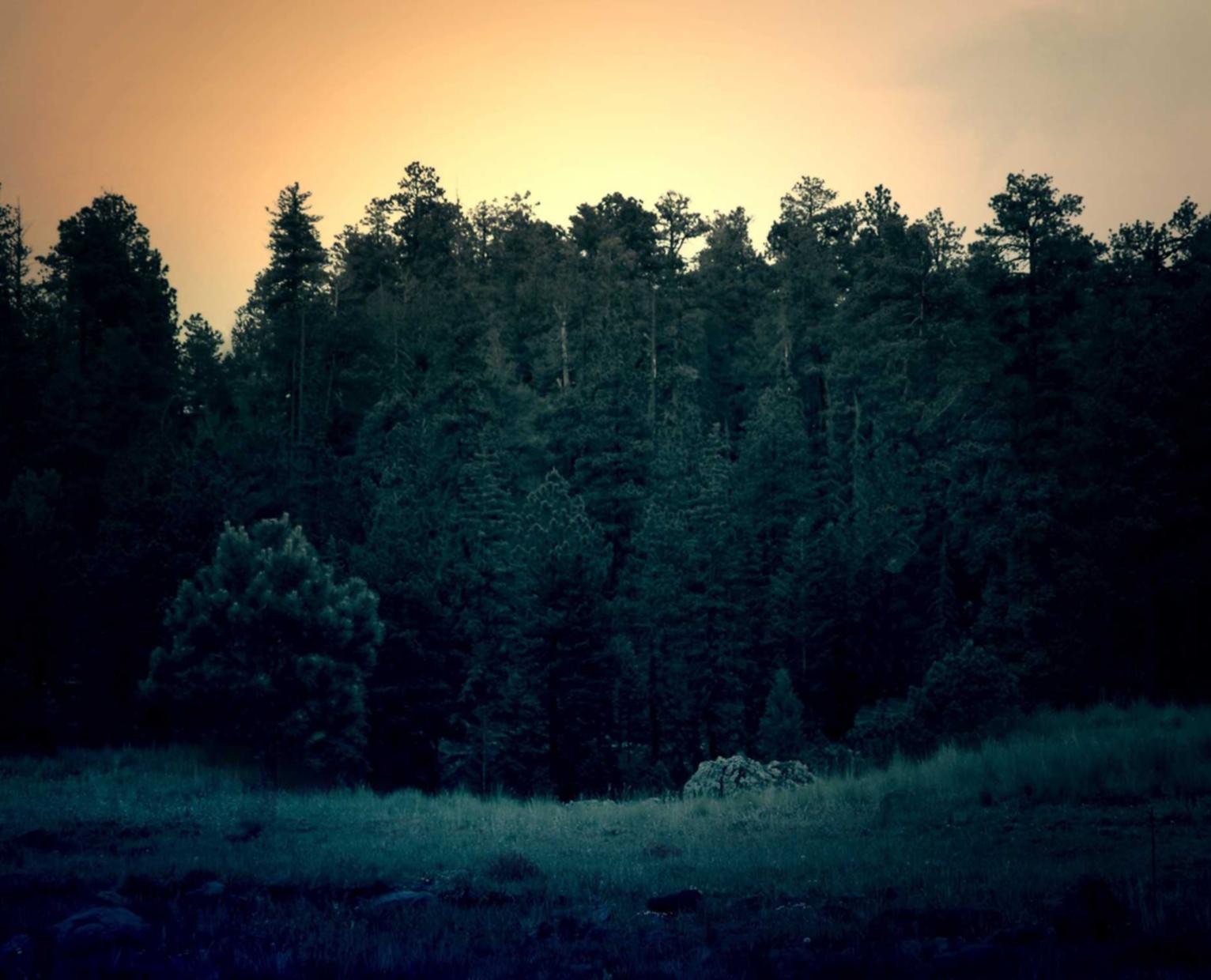 创世战车辅助- 音秀app详情下载教程