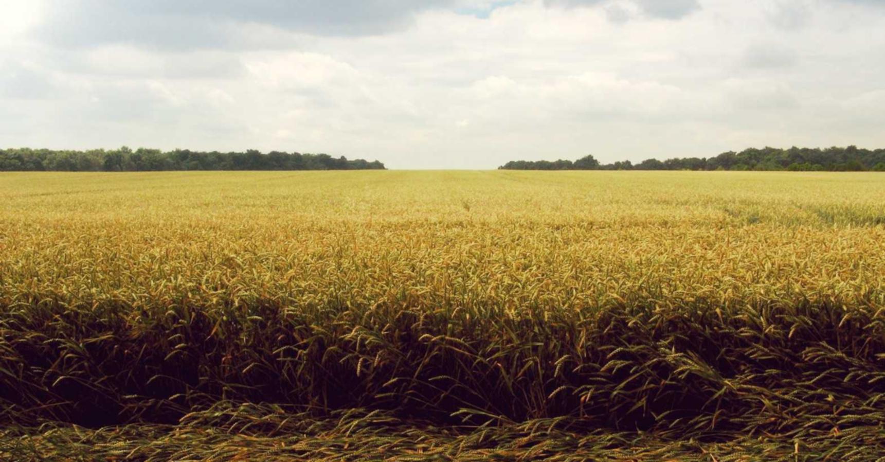 吸烟者对视频游戏和电脑的影响