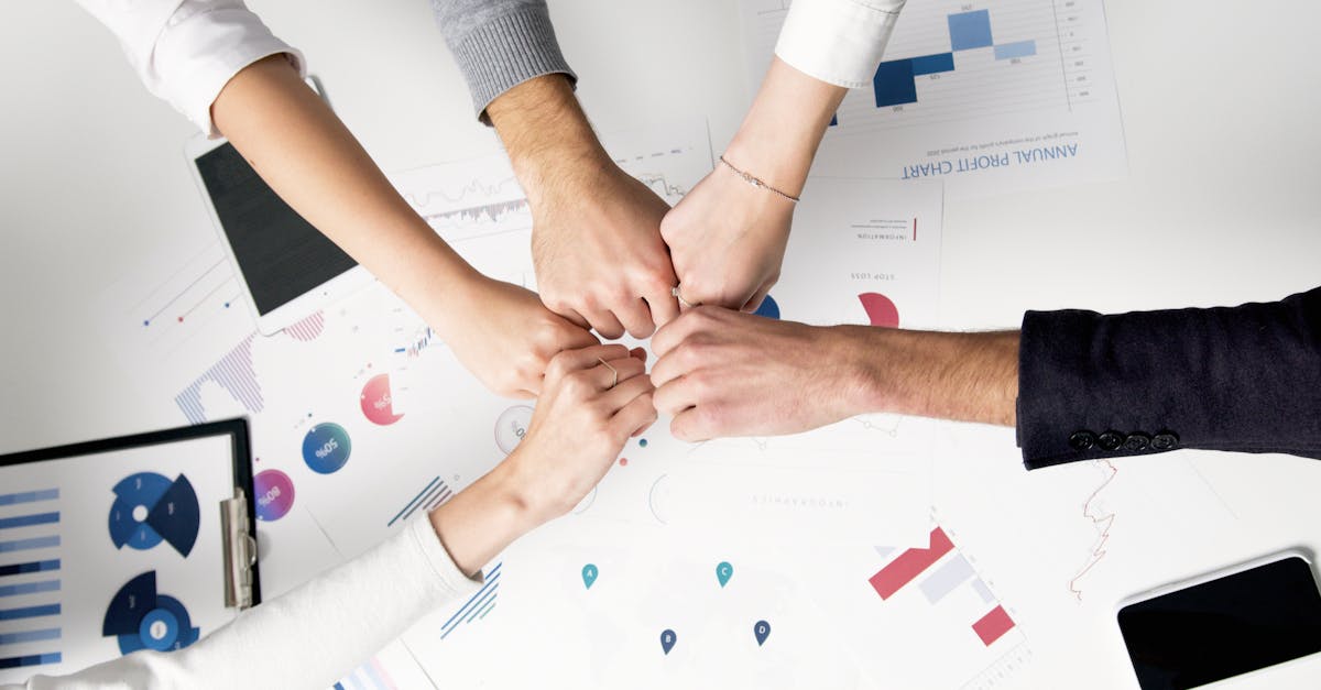 金牛3风险和投资(资本)回报