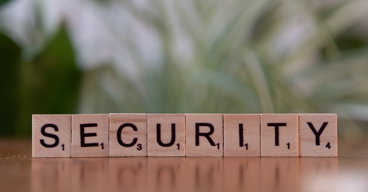 飞网ip实名账号:宁夏特产购买平台有哪些