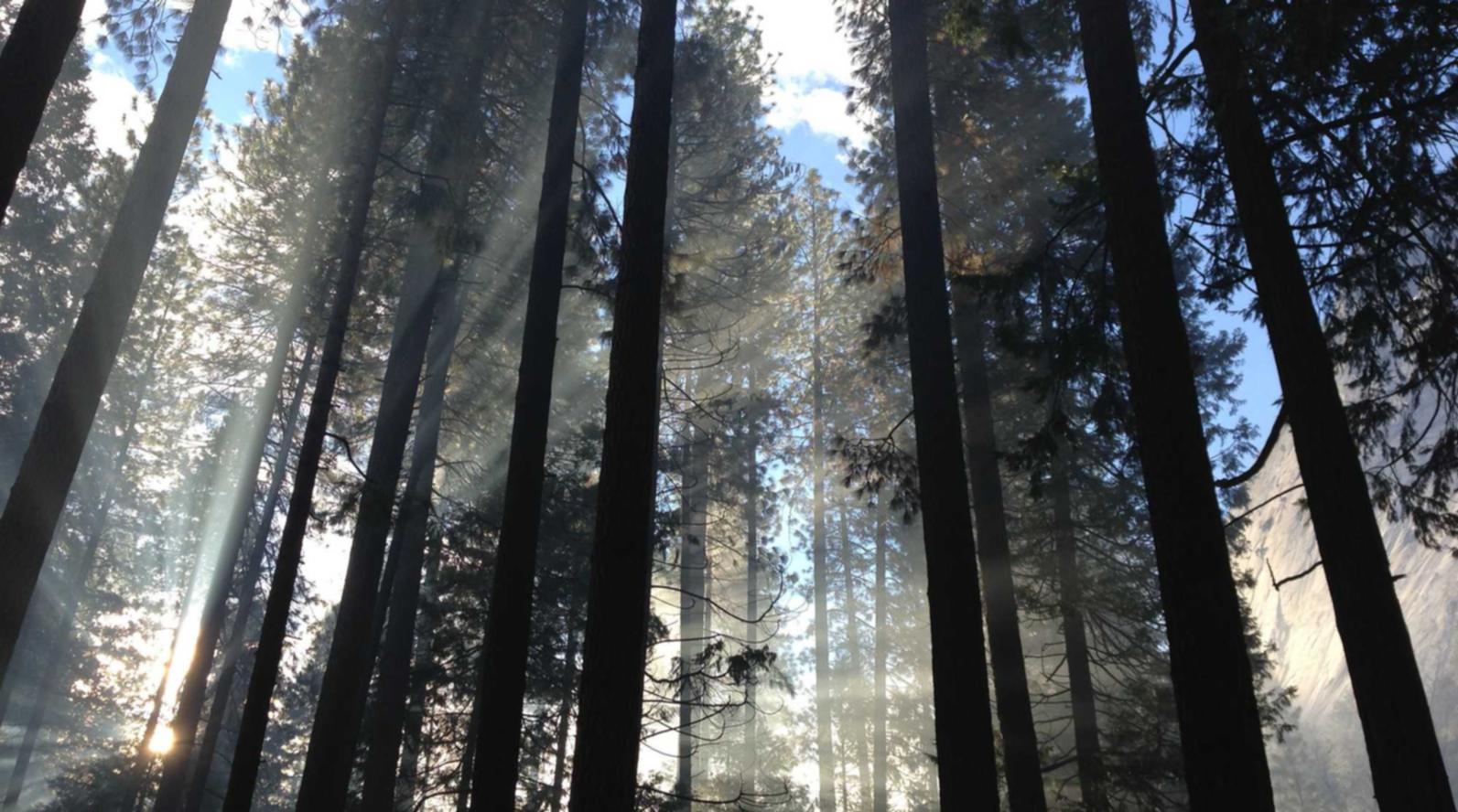 无需实名上网卡:新都注册公司代理流程图