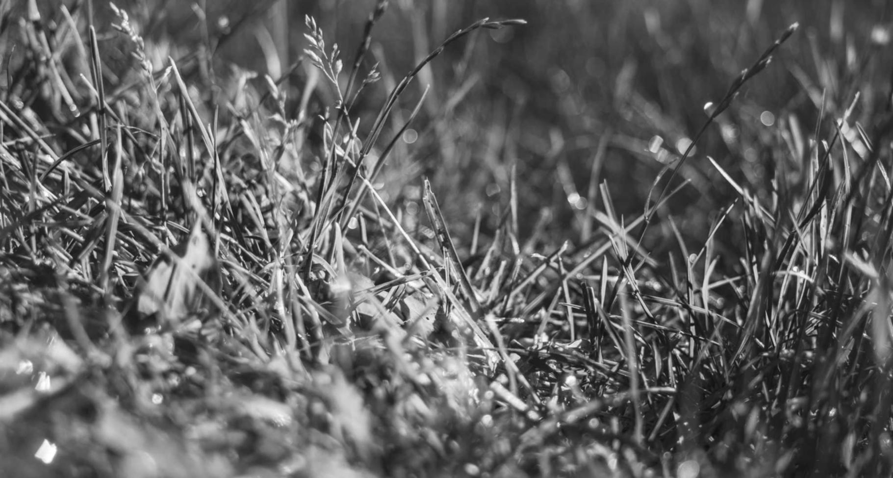 海信通信实名账号：58同城app详情下载教程电脑版