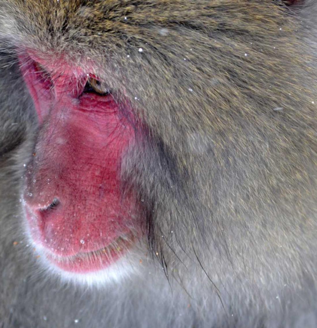 英雄棋士团：注册公司工商代理哪家正规