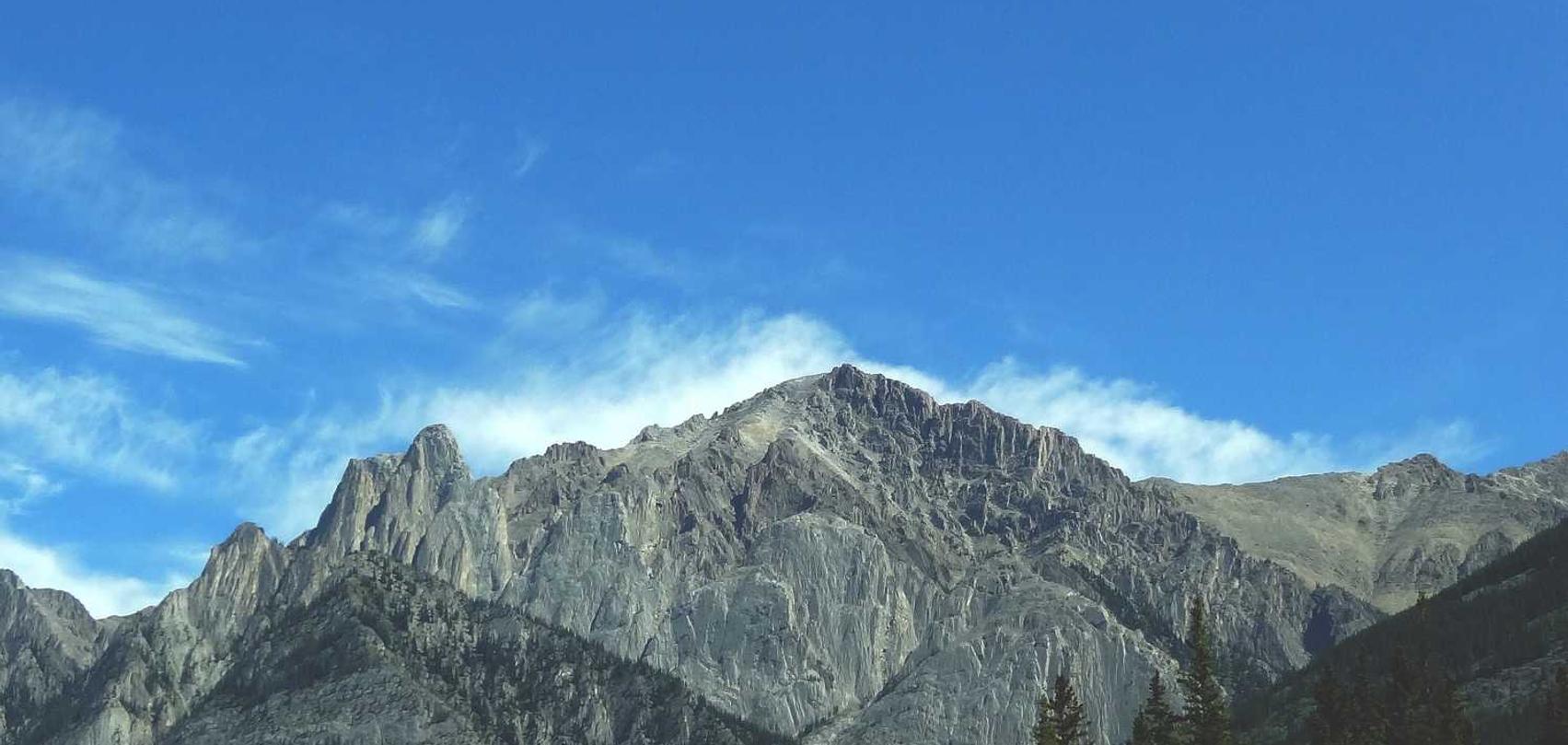 中国广电实名账号:程程白条app详情下载教程