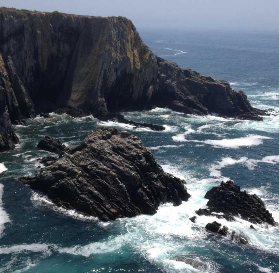 什么是注册公司代理