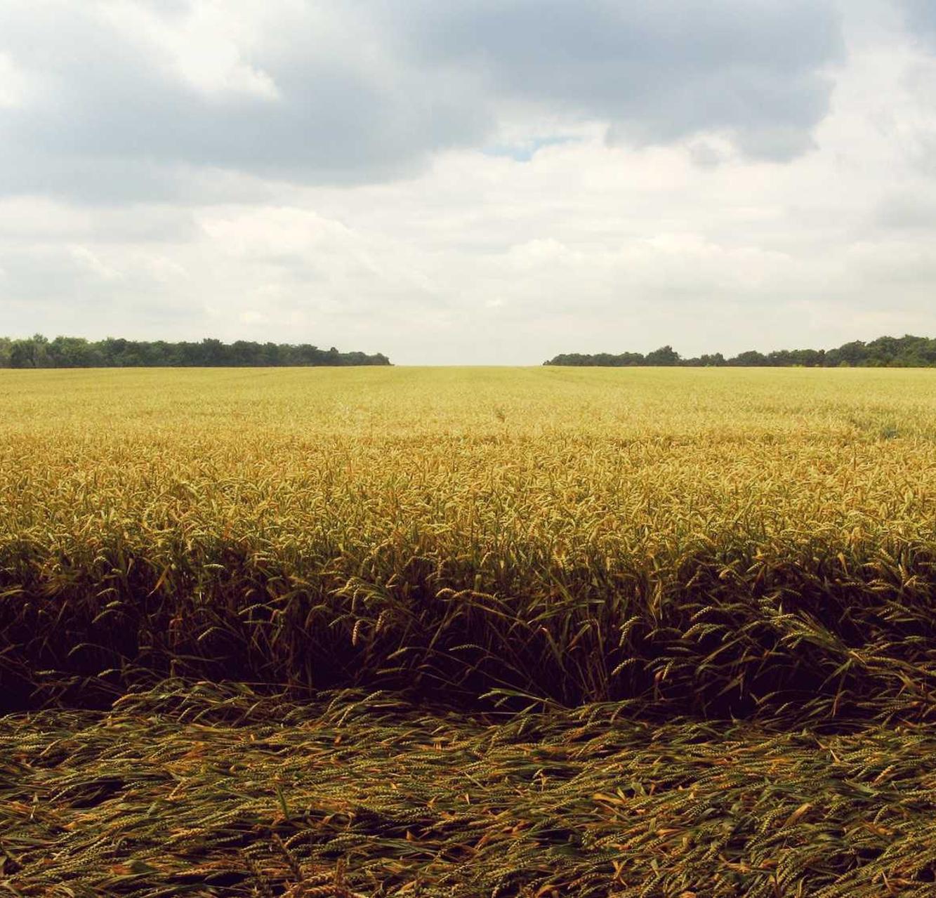 小米手机卡实名账号:苏州书香app详情下载教程