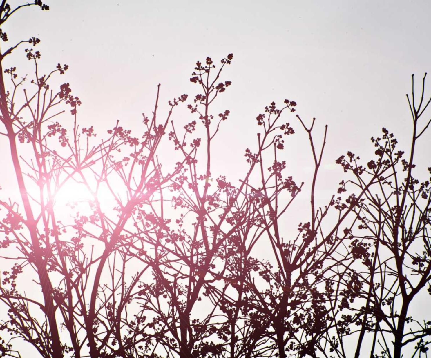 景安实名账号:注册知识产权代理公司