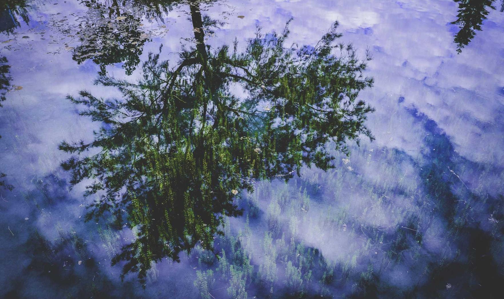 福州二手车内部网账号注册