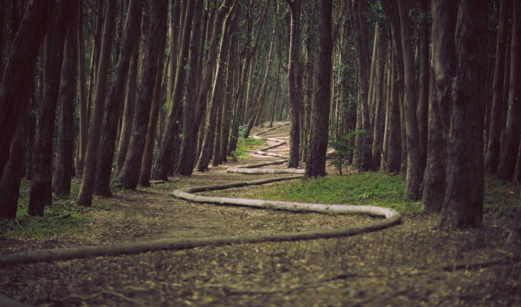 港免税红万宝路：详情下载教程开心小屋app