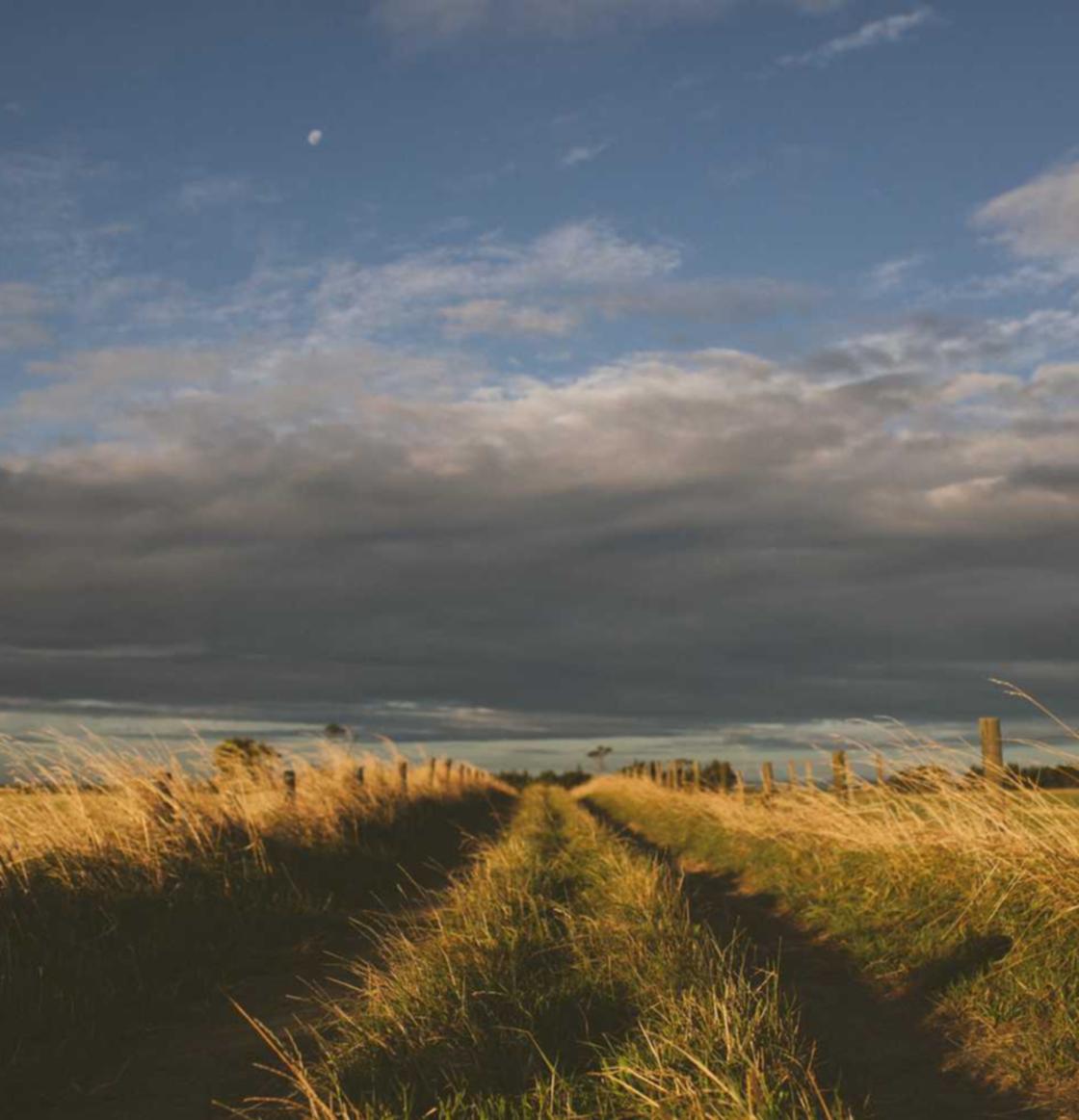 如何创建优化了SEO的预测搜索