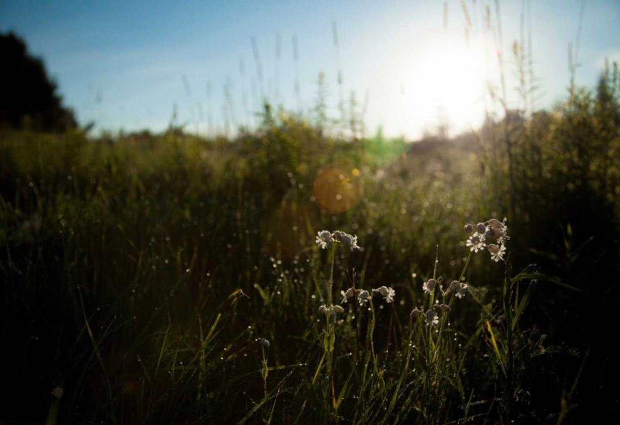 VX号交易网：杭州滨江代理注册