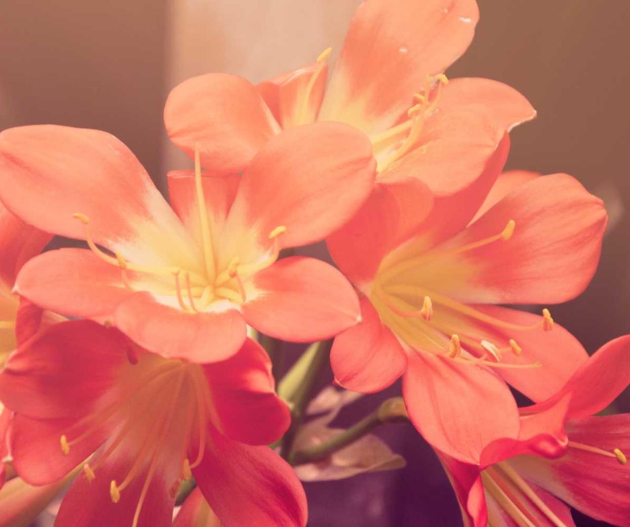 U友实名账号：龙湾企业工商注册代理公司