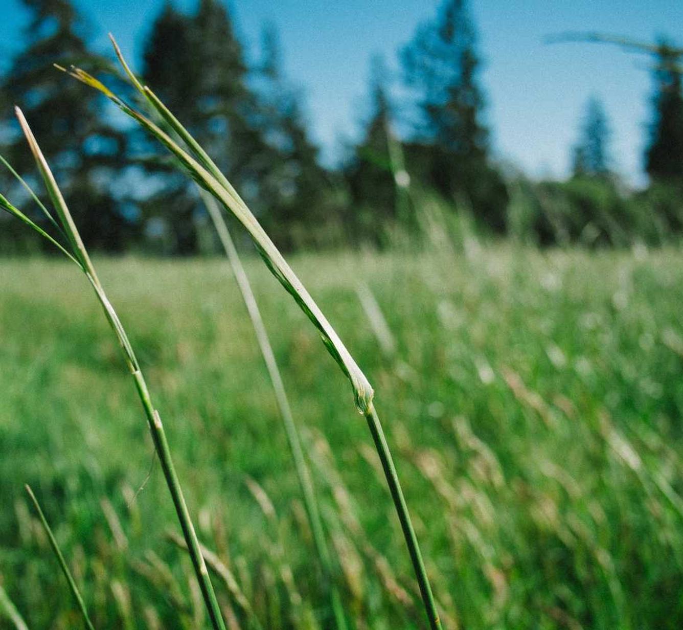 国外ddos攻击页端|黑客攻击和金融服务:如何保护您的资产?