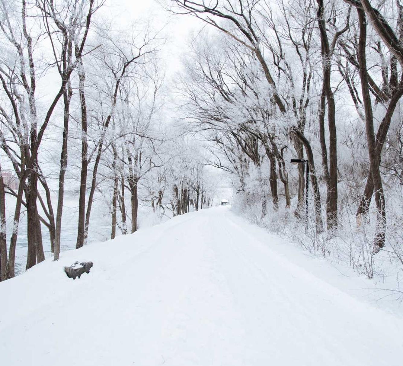 如何对SEO超标网站进行处理 