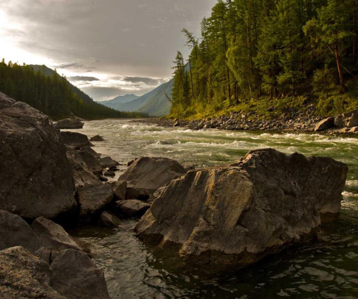 免费DDOS攻击平台|专业注册滴滴代理公司