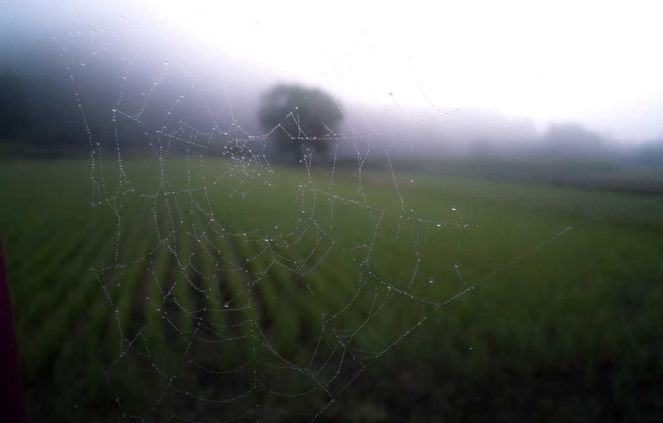 吸烟和生活品质的关系