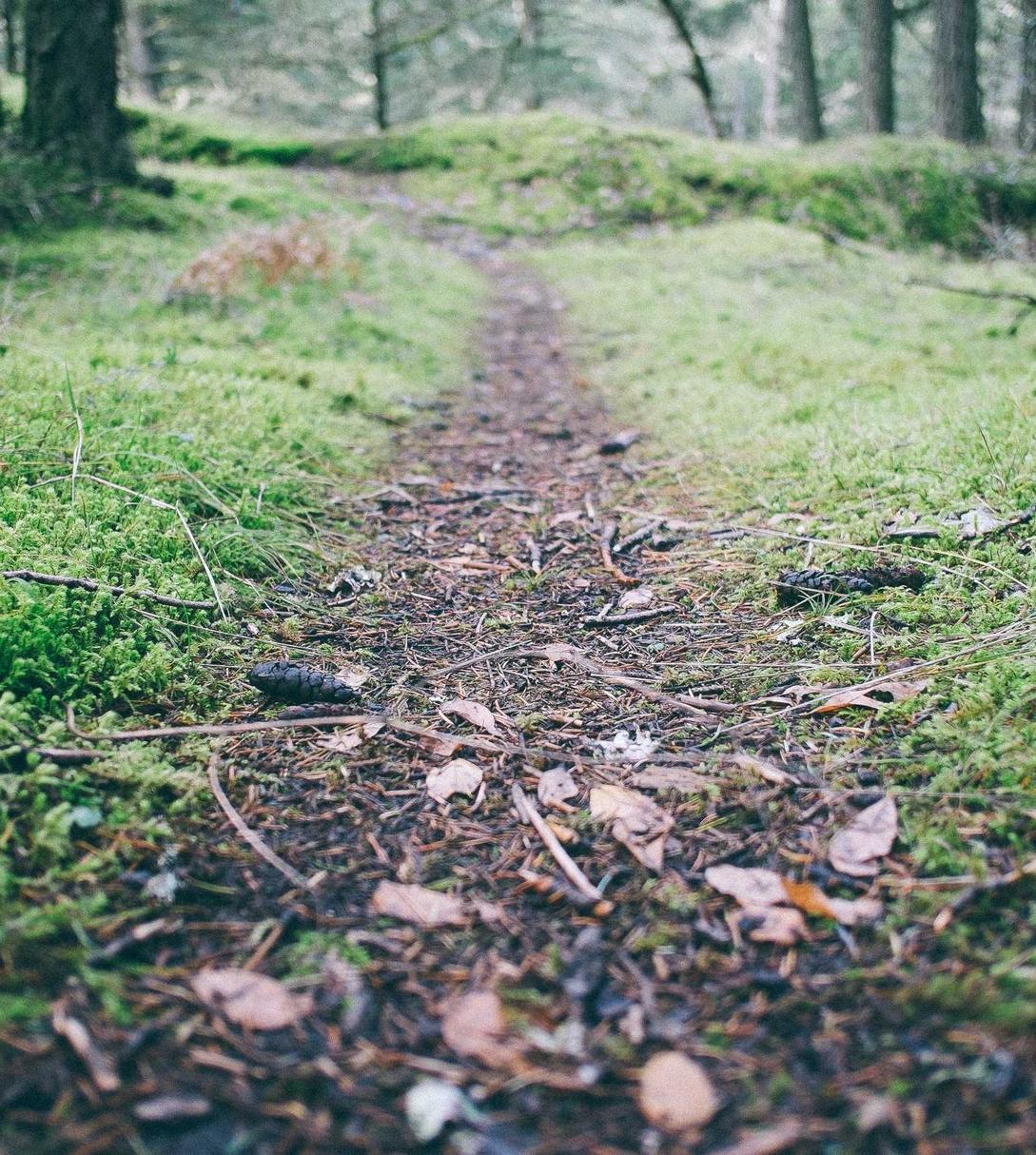 企鹅号购买平台