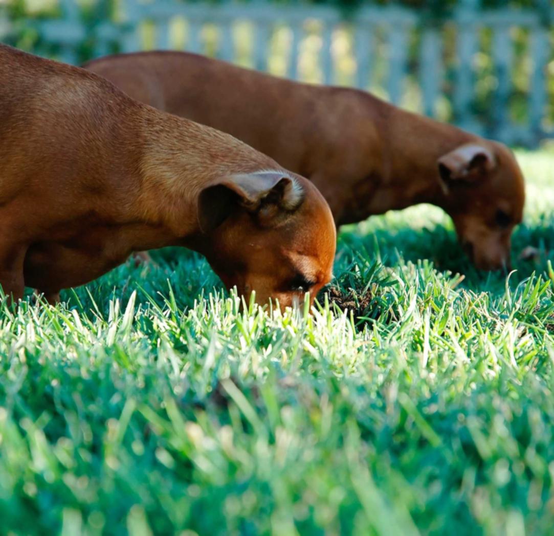 开丰海南代理注册公司流程