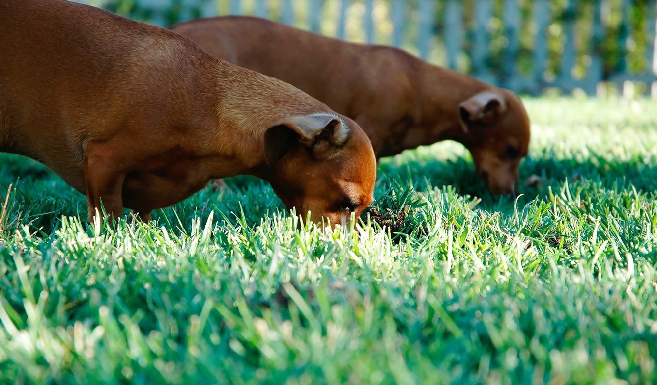 买卖微信号码:短信安全:如何保障用户隐私及信息安全?