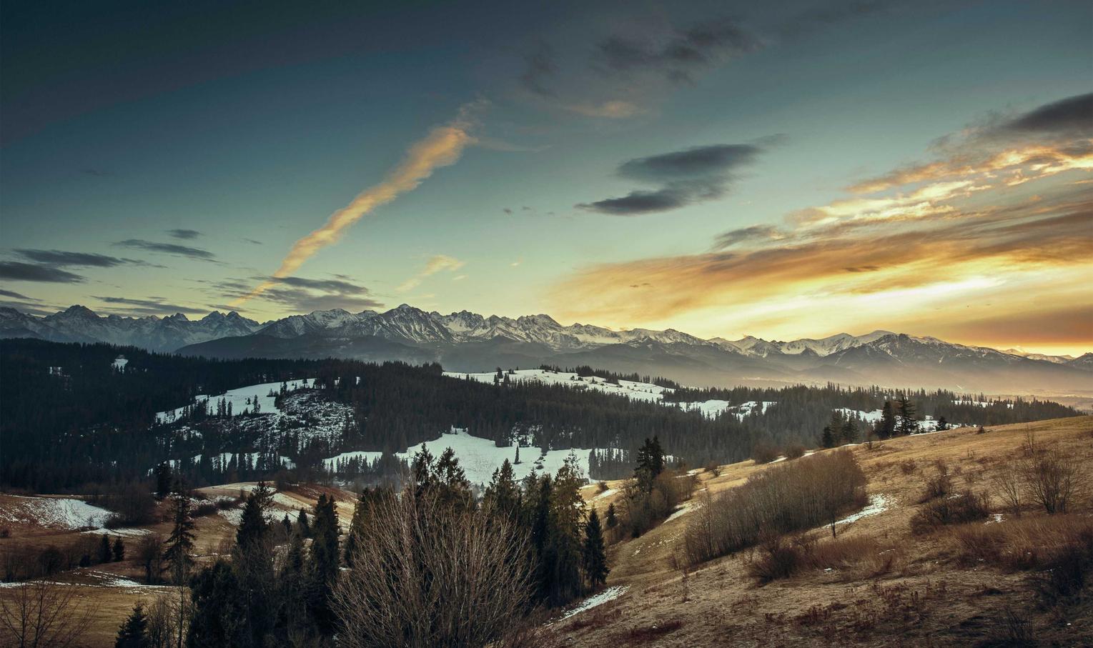 红桃七果手游代理平台登录不上