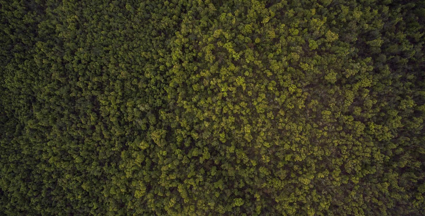 各种国外VX号:实名账号与信息泄露的防范