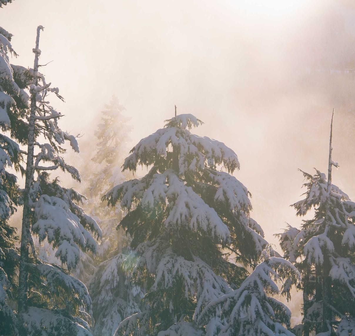 DDOS网页端|修文县公司注册代理机构